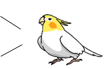 当院マスコットキャラクターのおもちちゃんです。