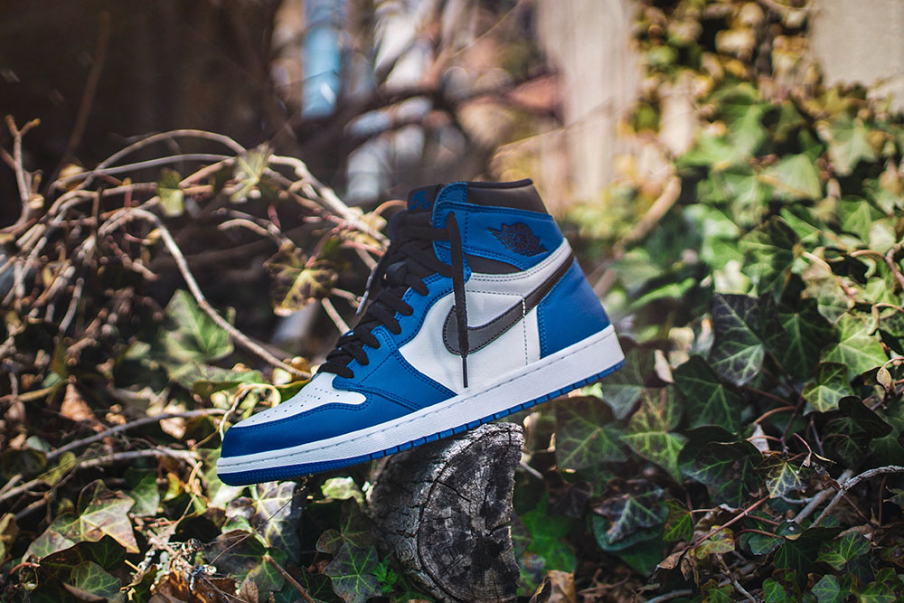 AJ1の片足のみの画像