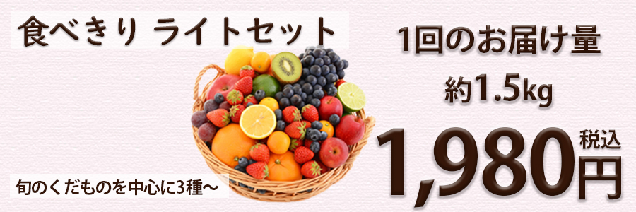 食べきりライトセット