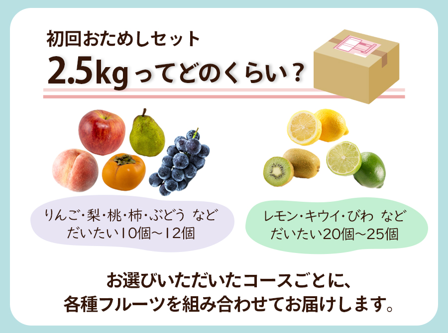 2.5㎏ってどのくらい？