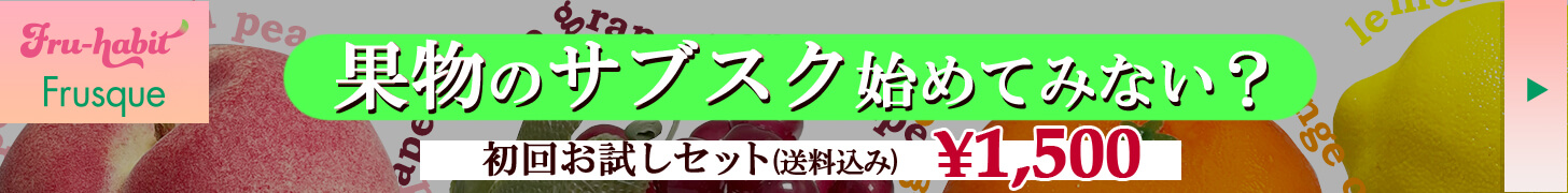 バナー広告2