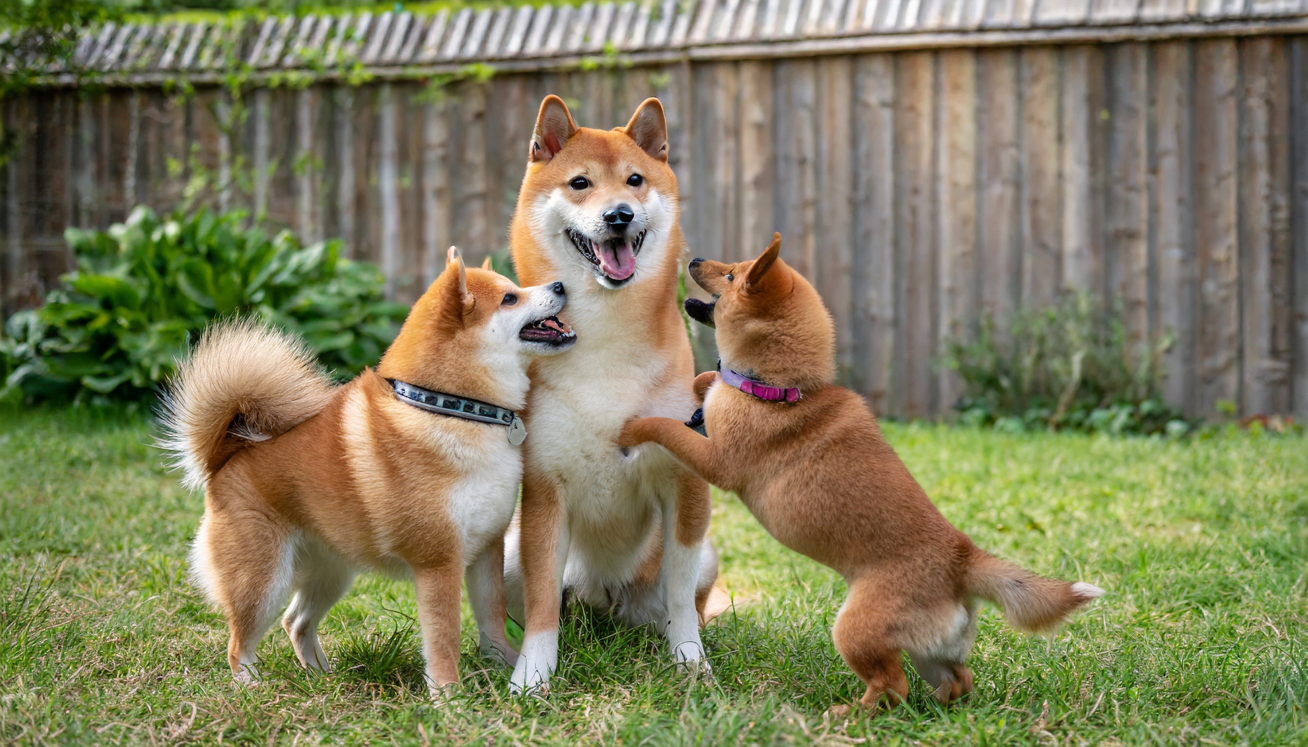 ブログ記事サムネイル