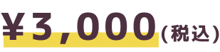 3000円(税込)