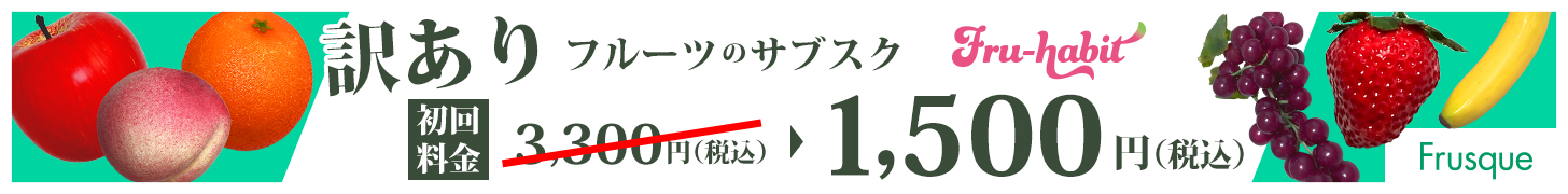 バナー広告1