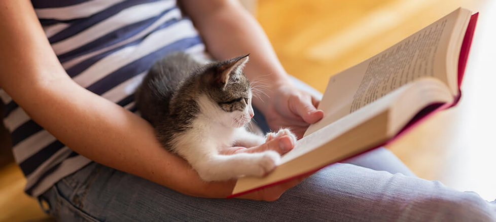 猫と本を読んでいる写真