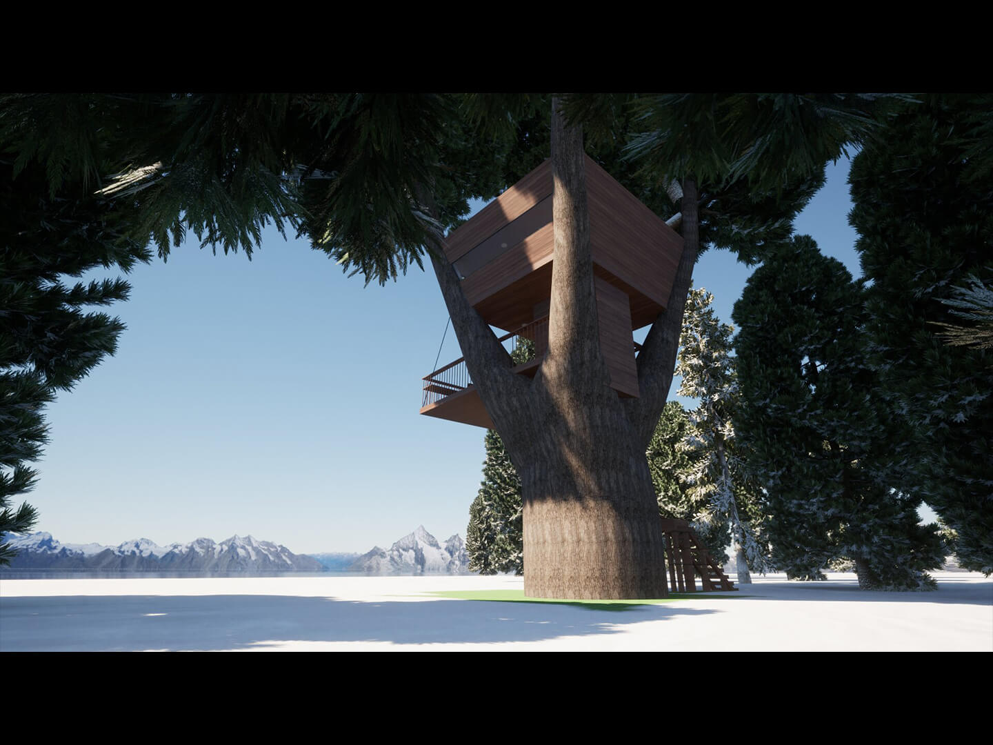 下から見たチョコナのツリーハウス