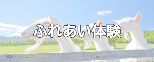 動物の写真