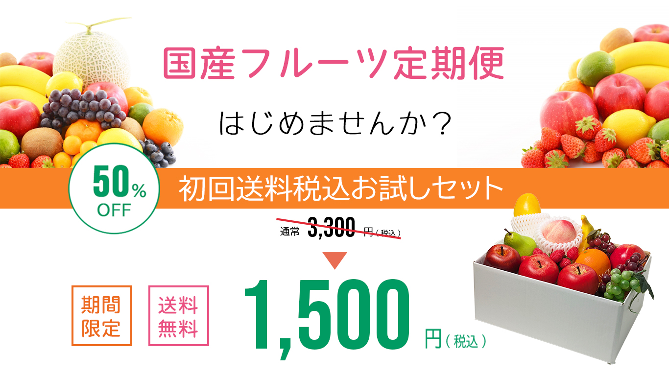 導入画像