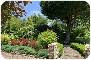 ガーデンの様子